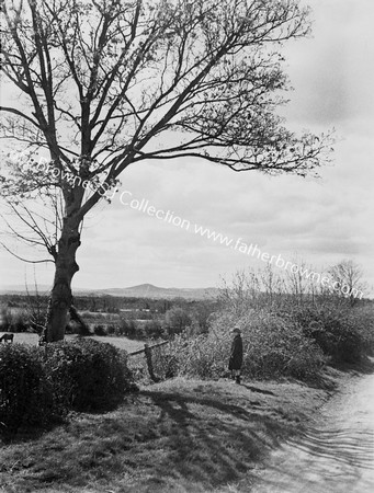 TREES CLOUDS DITCH & FIGURE